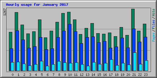 Hourly usage for January 2017